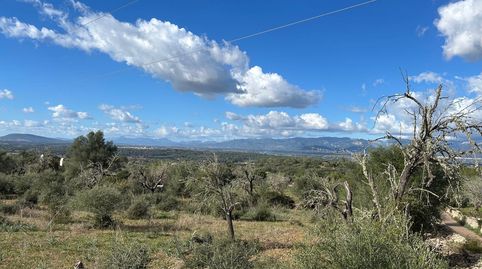 FINCA RUSTICA EN COSTITX, immagine 4