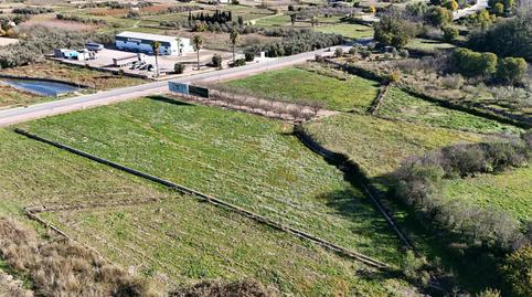 Photo 3 of Land for sale in Santa Bárbara, Valencia