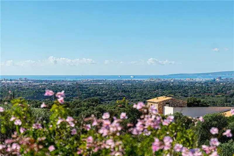 Vista exterior de Casa o chalet en venta en Marratxí con Jardín privado, Terraza y Trastero