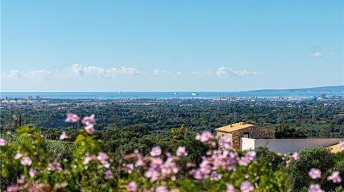 Foto 4 de Casa o chalet en venta en Sa Cabaneta, Marratxí