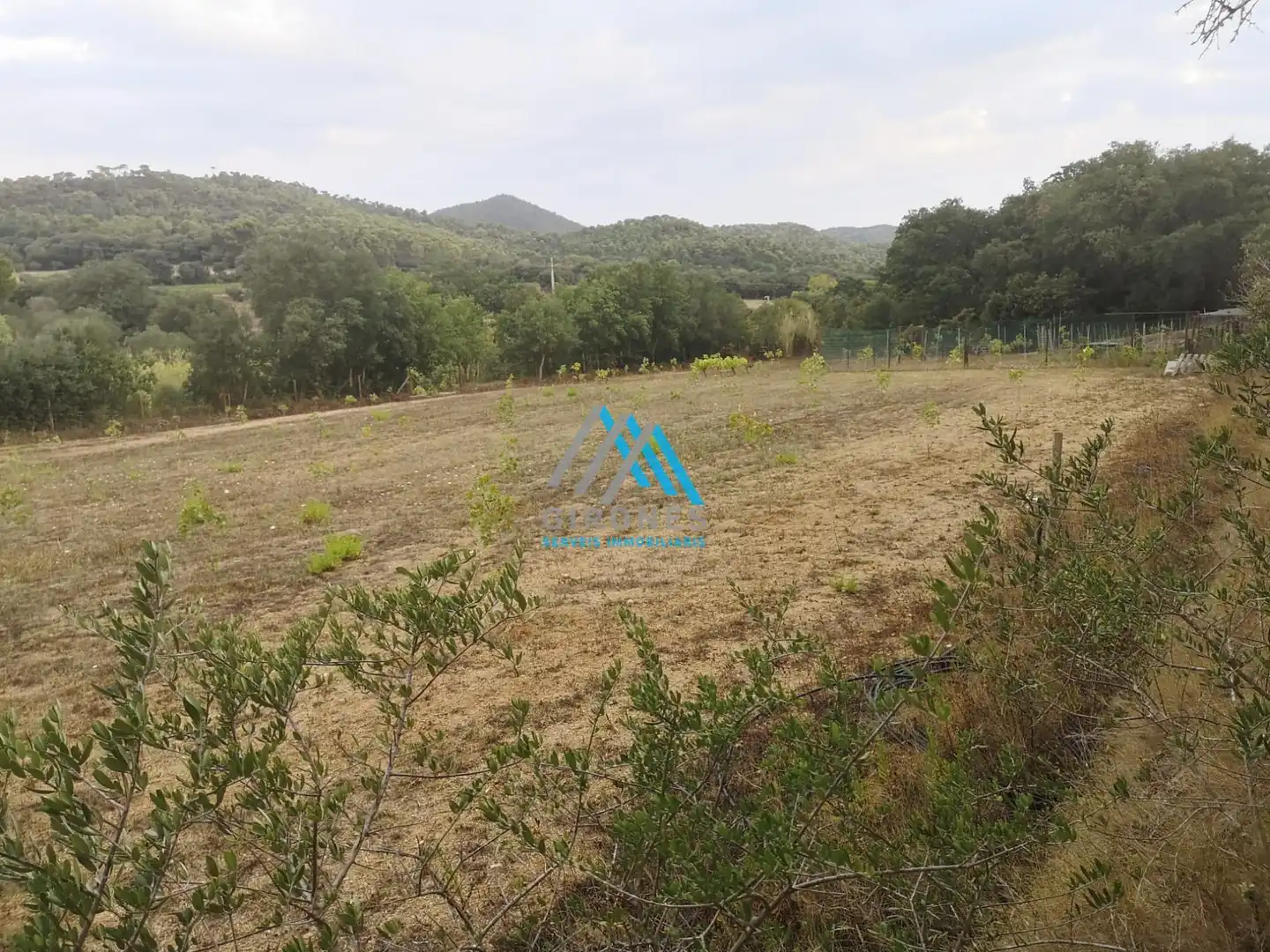 Terrenos y solares en venta en Puig Balitra, imagen 11