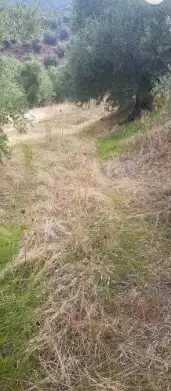 Finca rústica en venda en Villacarrillo