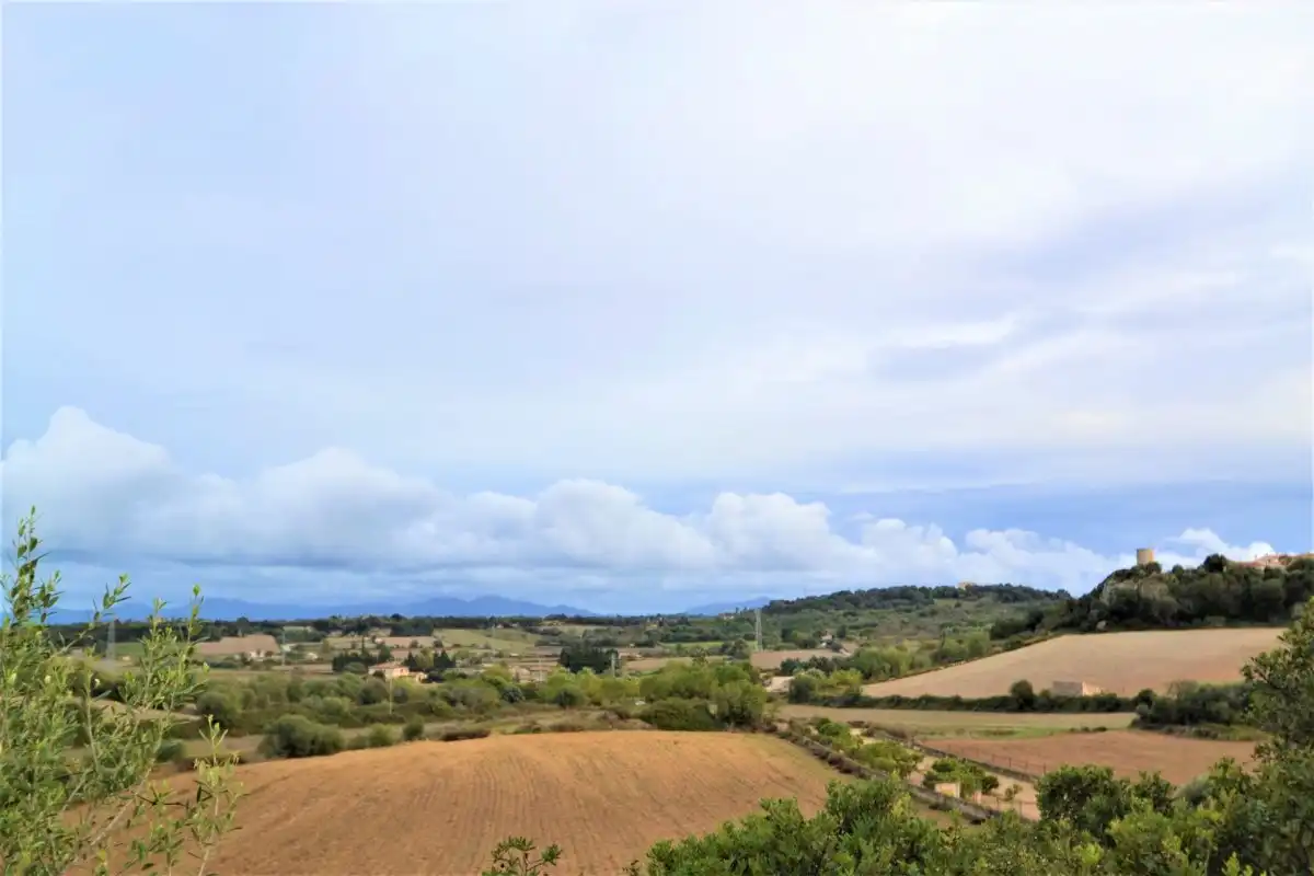 Lands and plots for sale in Calle RAMON LLULL