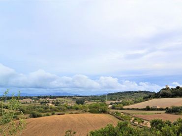 Terrenos y solares en venta en Calle RAMON LLULL