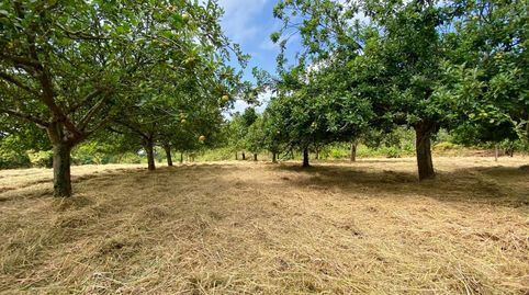 Foto 3 de Terreno en venta en Lugar Tuero, 31, Tazones - Argüero, Villaviciosa