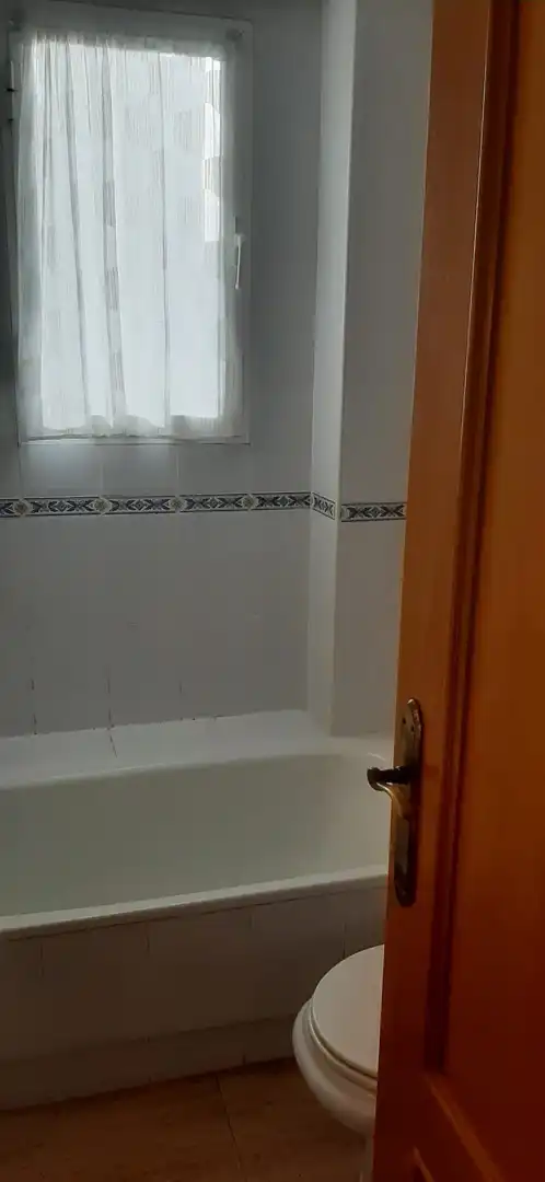 Flat with pool to rent in Juzgados - Plaza de Toros, imagen 16