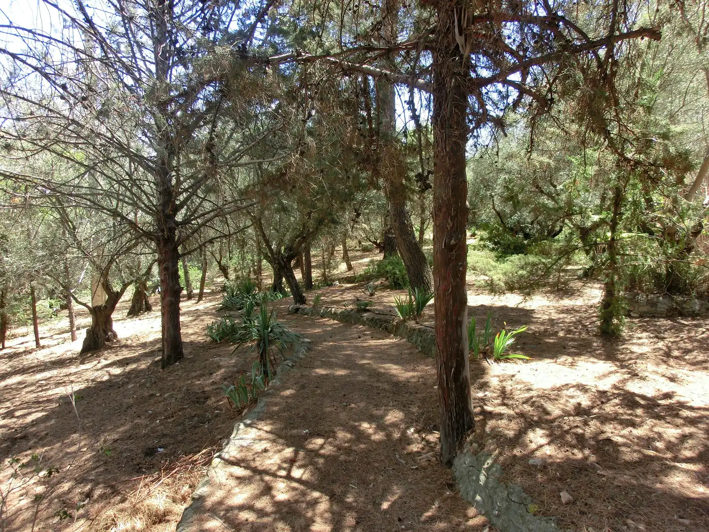 Casa o xalet en venda en Toledo amb Aire condicionat, Calefacció i Jardí privat