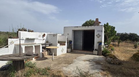 Foto 3 de Finca rústica en venda a Partidas de interior - Zona Rústica, Vinaròs