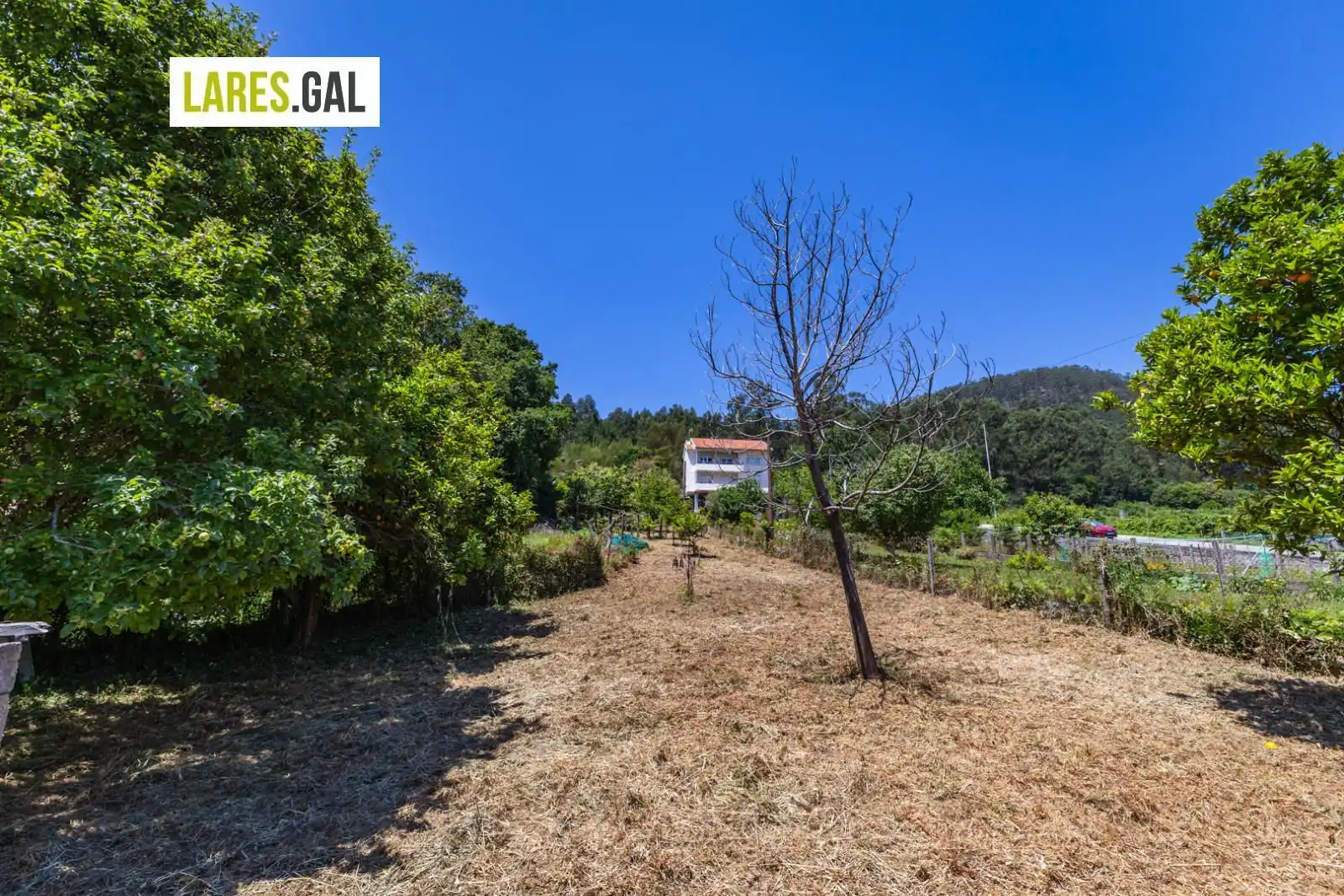 Lands and plots for sale in Ourelo, imagen 12