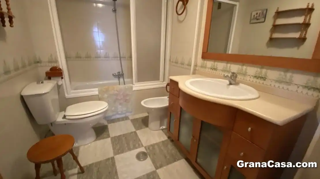 Bathroom of Flat for rent in Granada  with Heating, Terrace and Furnished