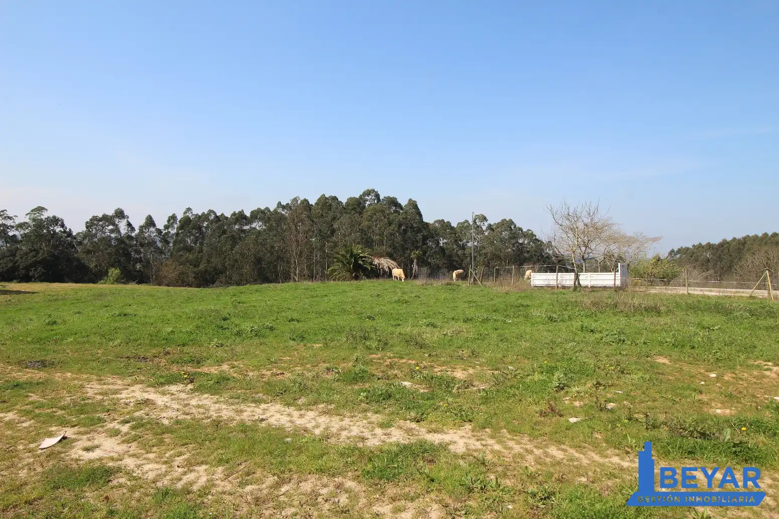 Casa amb jardí en venda a Arce - Barrio Santa Ana 2, imagen 81