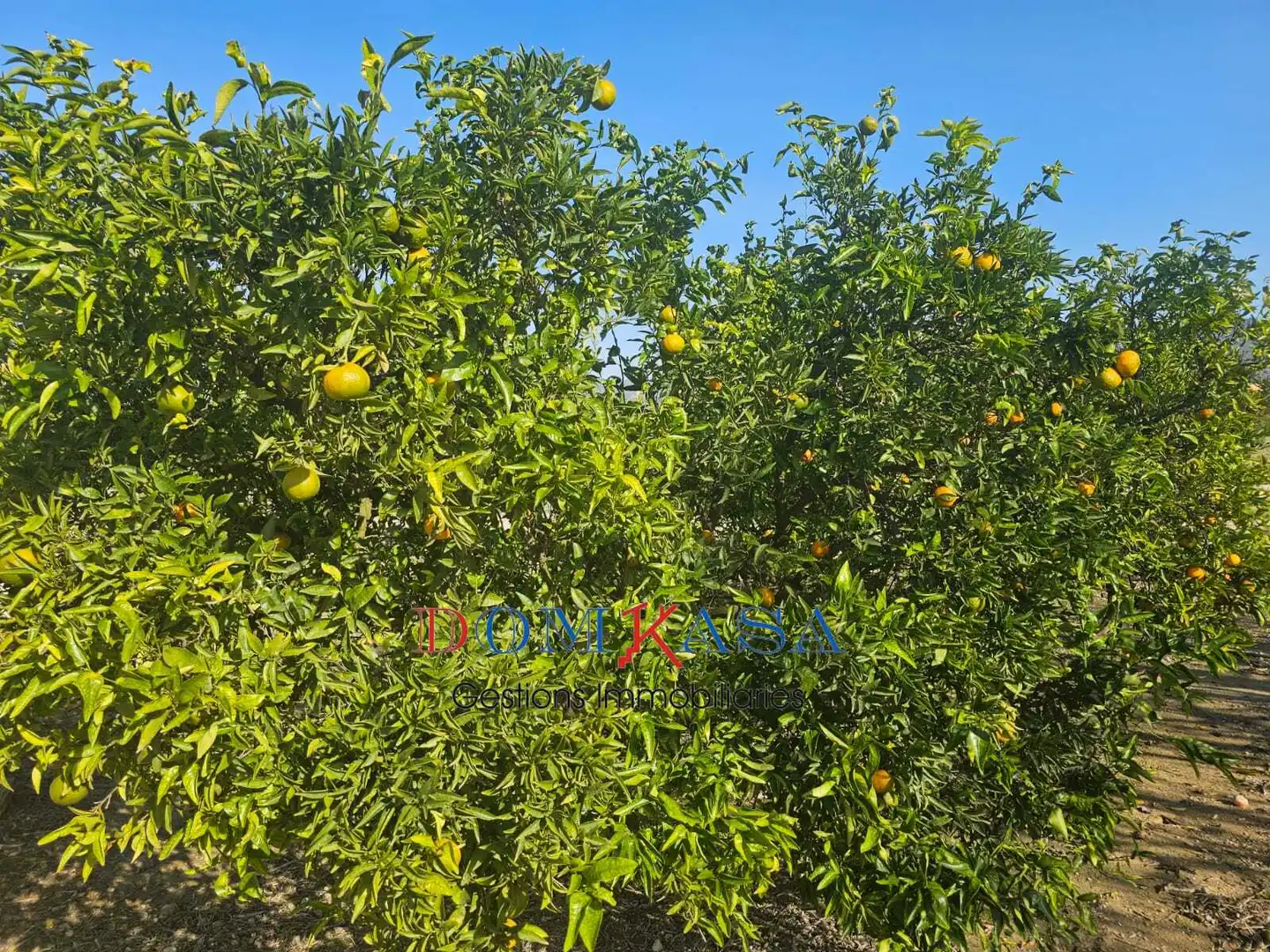 Rural land for sale in Bítem, imagen 6