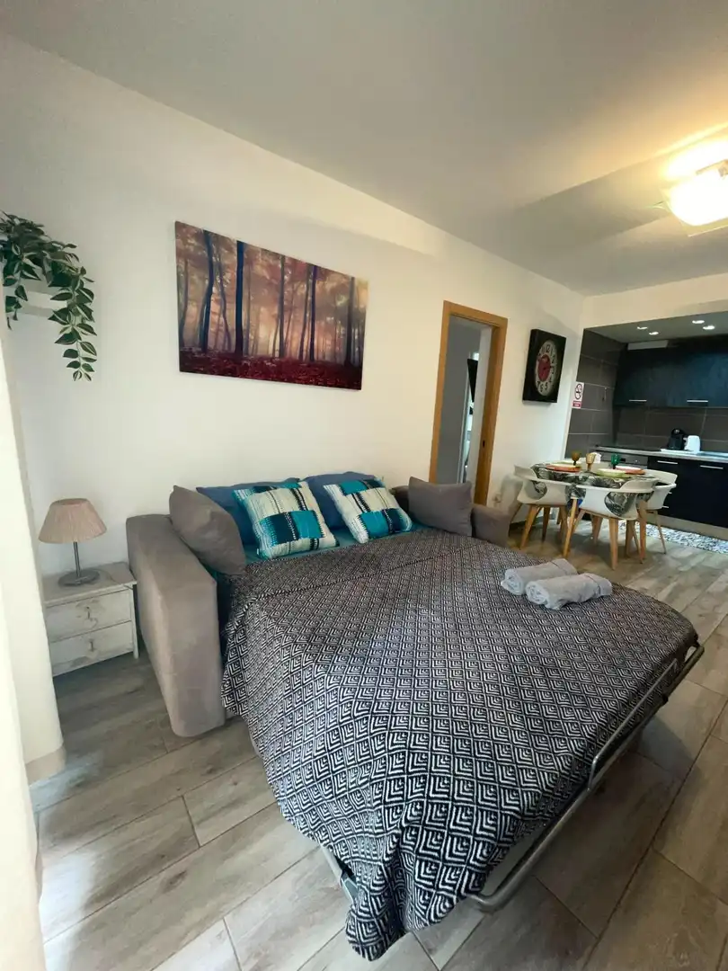 Apartamento con piscina en alquiler en Calle Montañita, imagen 11