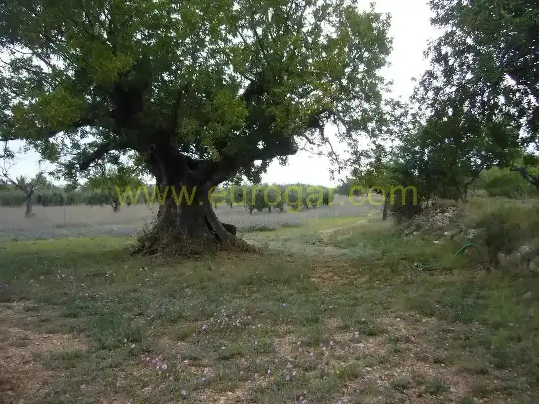 Villa in vendita a Centro, imagen 12