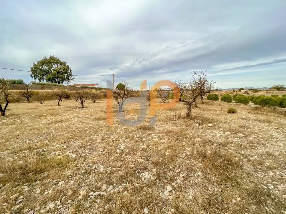 Terrain rustique à vendre à Huércal-Overa, imagen 8
