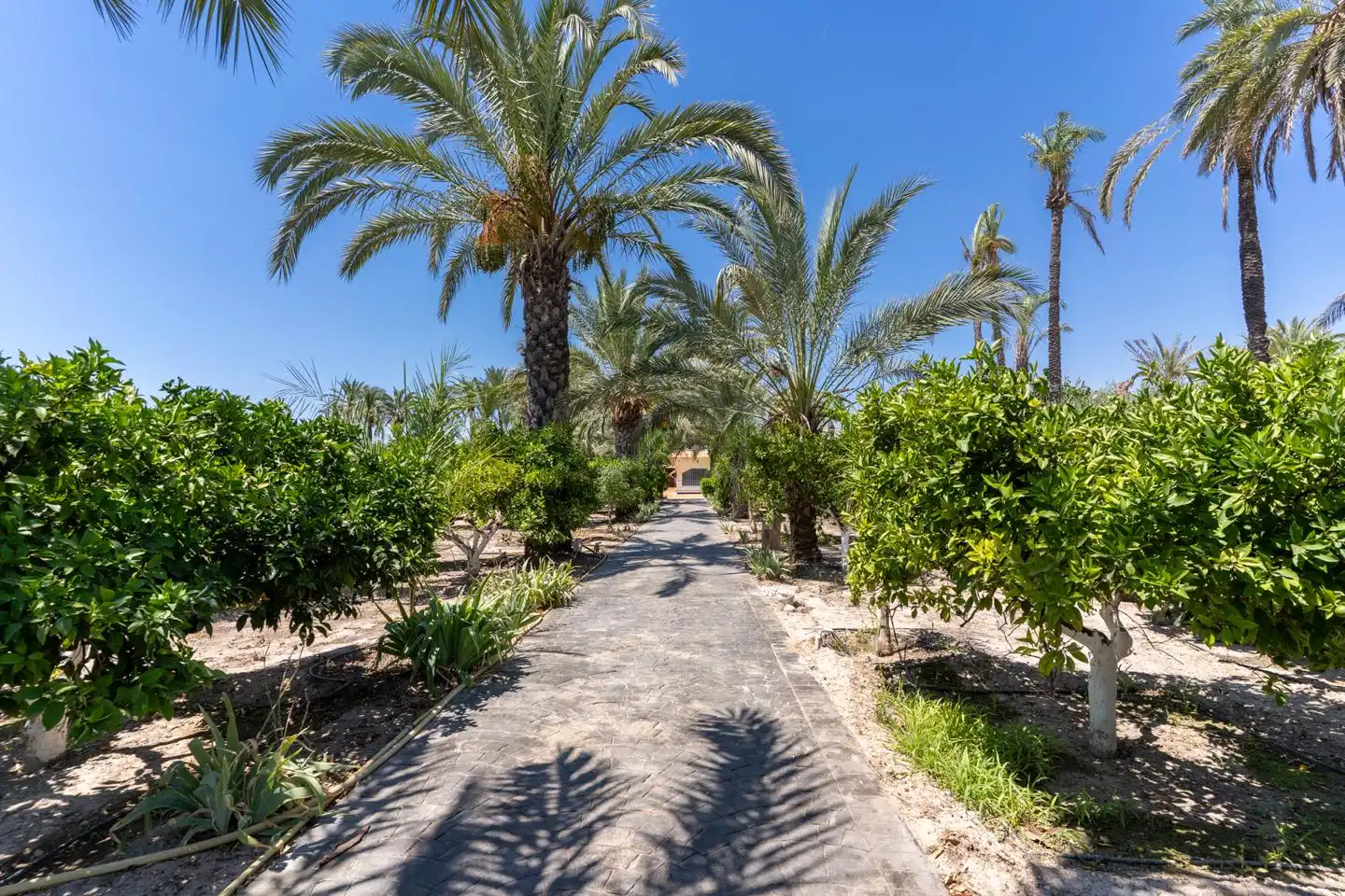 Exterior view of Houses for sale in Elche / Elx  with Air Conditioner, Private garden and Terrace