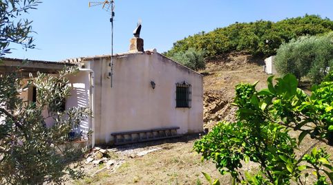 Foto 2 de Finca rústica en venta en Calle Real, 52, Frigiliana, Málaga
