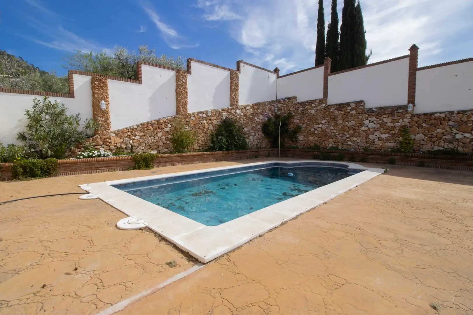 Piscina de Casa o chalet en venta en Cómpeta