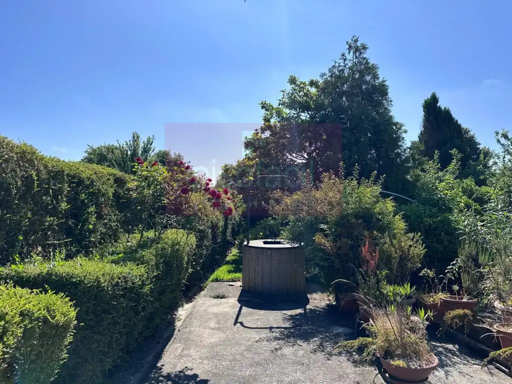 Jardín de Casa o chalet en venta en Lugo