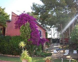 Jardí de Casa o xalet en venda en San Antonio de Benagéber amb Aire condicionat, Calefacció i Jardí privat