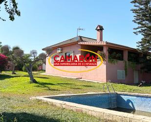 Jardí de Finca rústica en venda en Coria del Río amb Terrassa i Piscina