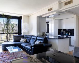 Living room of Flat to rent in  Madrid Capital  with Air Conditioner, Heating and Private garden