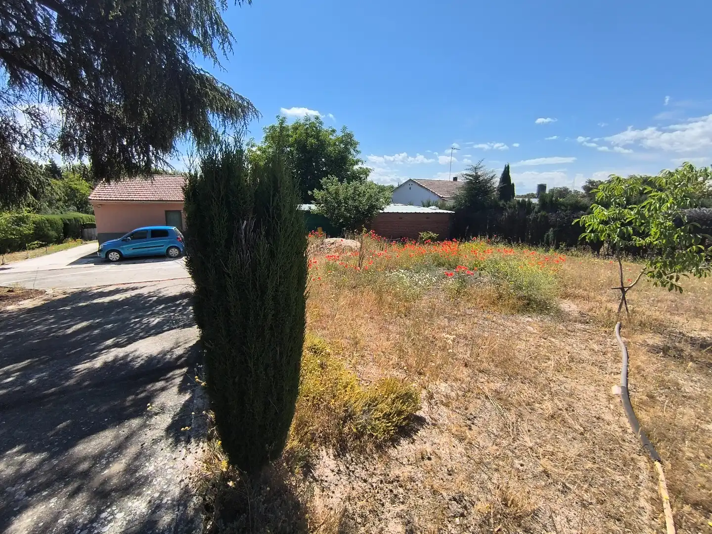 Land for sale in El Molar (Madrid)