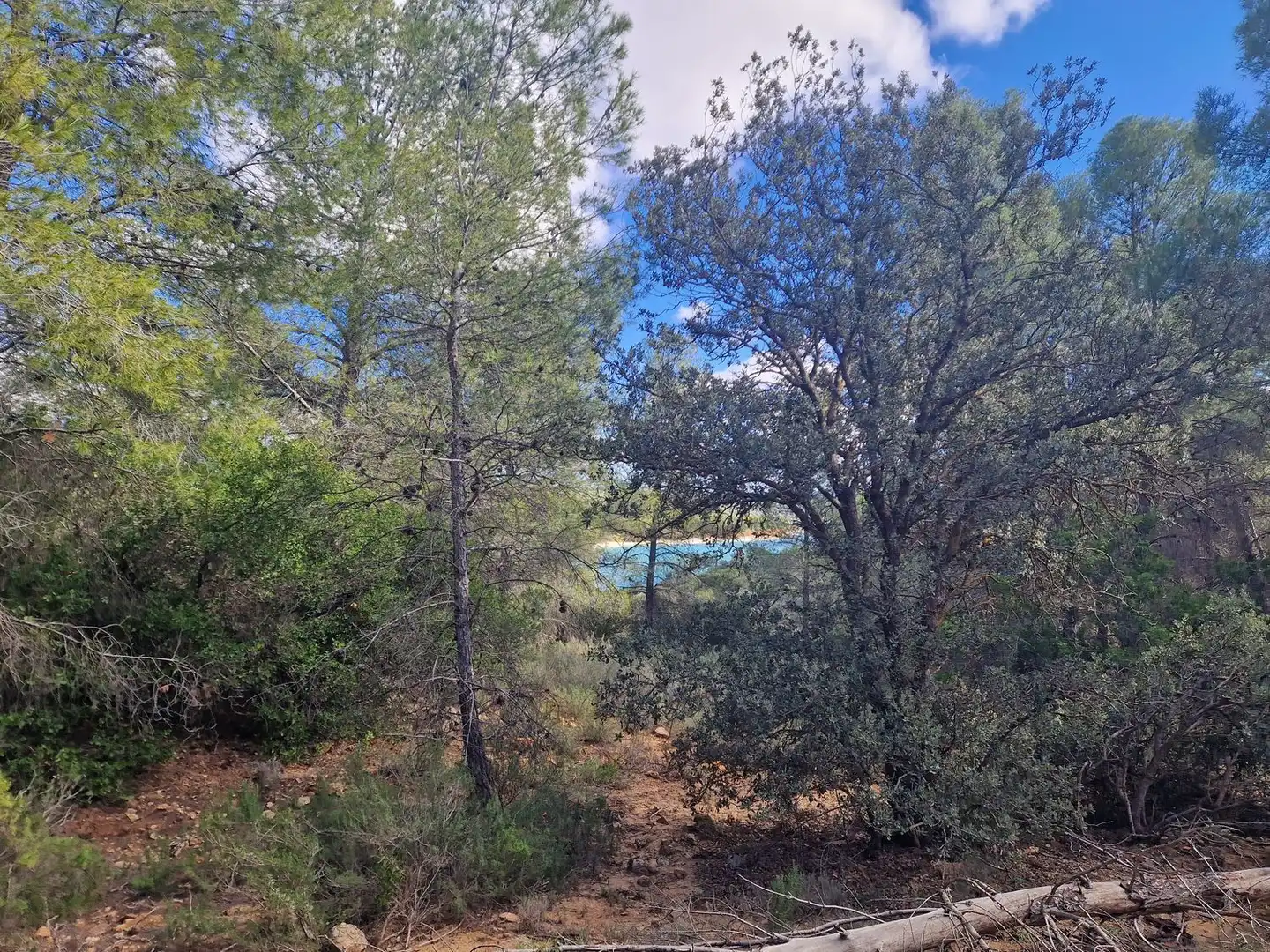Rural land for sale in Pantano de Peñarroya 0, imagen 50