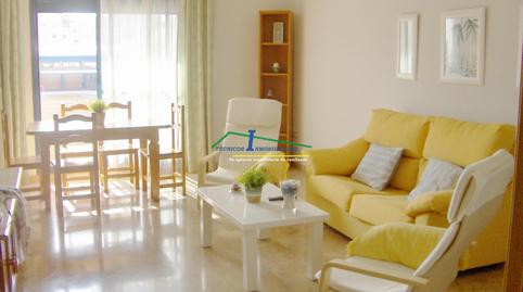 Foto 2 de Apartament de lloguer a Oeste, Mérida