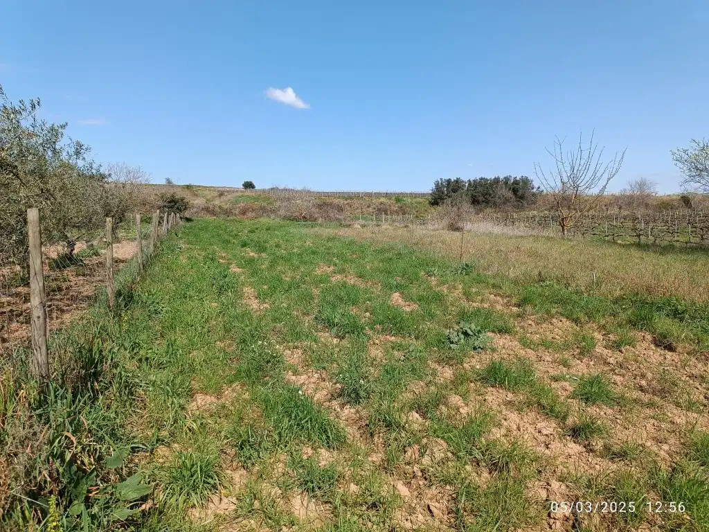 Rustikales Grundstück zum Verkauf in Sant Julià, imagen 6