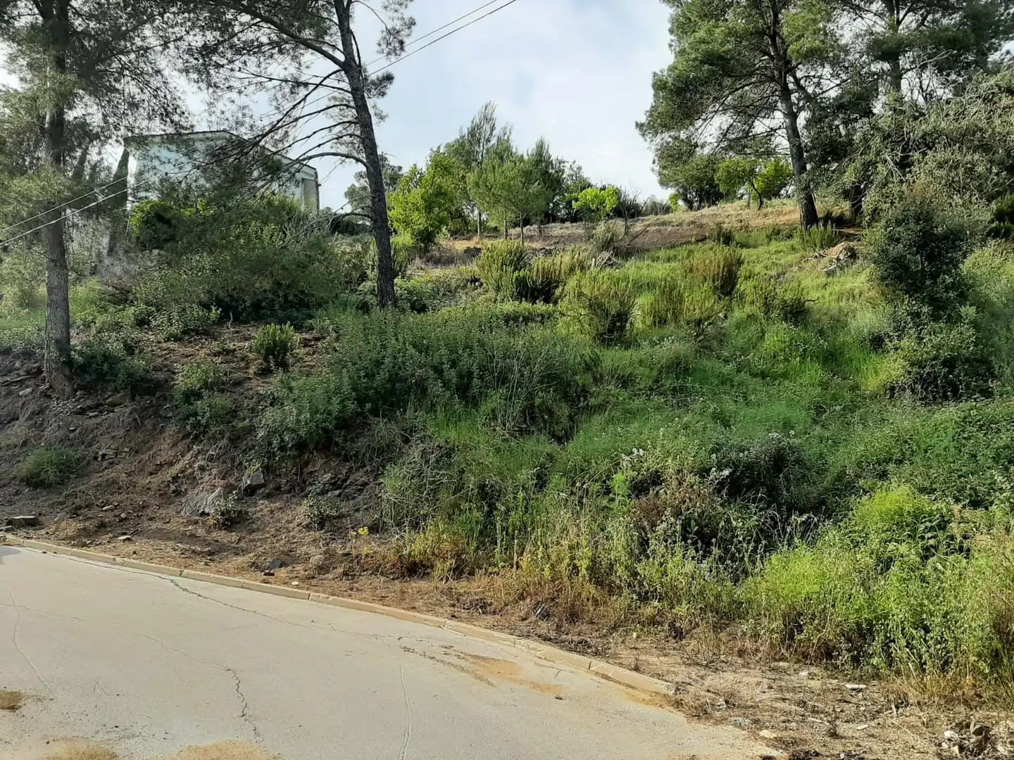 Wohnbaugrundstück zum Verkauf in Santa Susanna, imagen 3