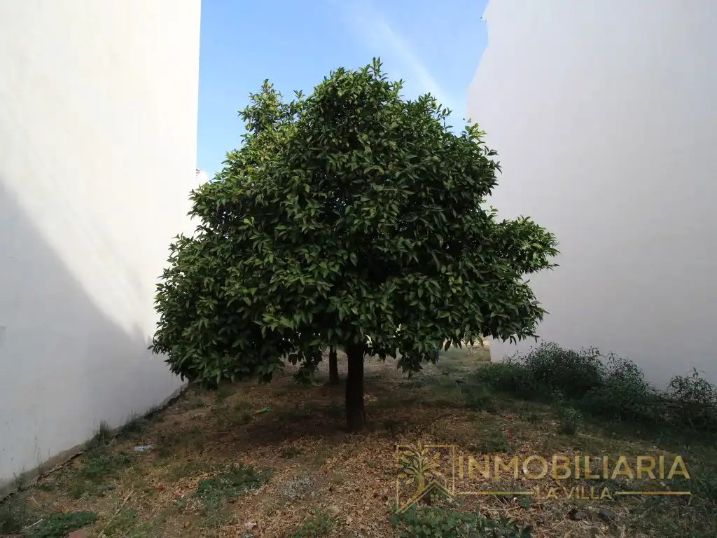 Terreni e lotti in vendita a Calle Antonio Talavera Sa, imagen 7