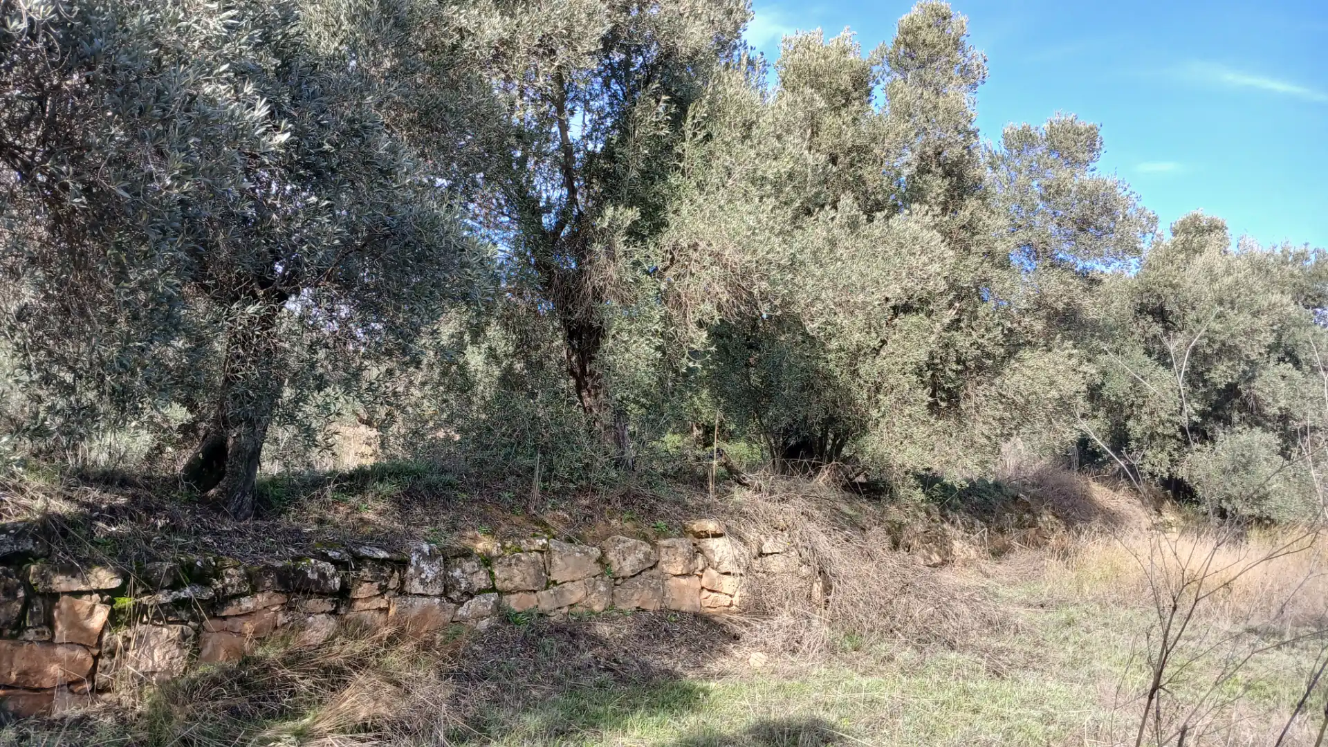 Terreni e lotti in vendita a Calaceite, imagen 9