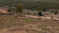 Finca rústica en venda en Villanueva de la Serena amb Traster, Moblat i Alarma