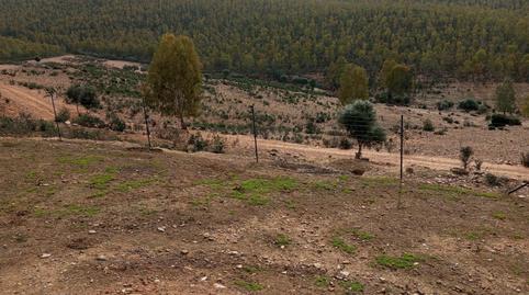 Photo 3 of Country house for sale in Villanueva de la Serena, Badajoz