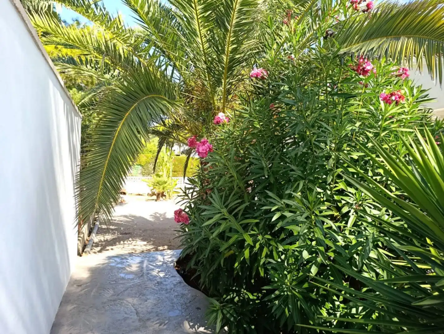 Villa avec piscine à vendre à La Granadella  - Costa Nova, imagen 47