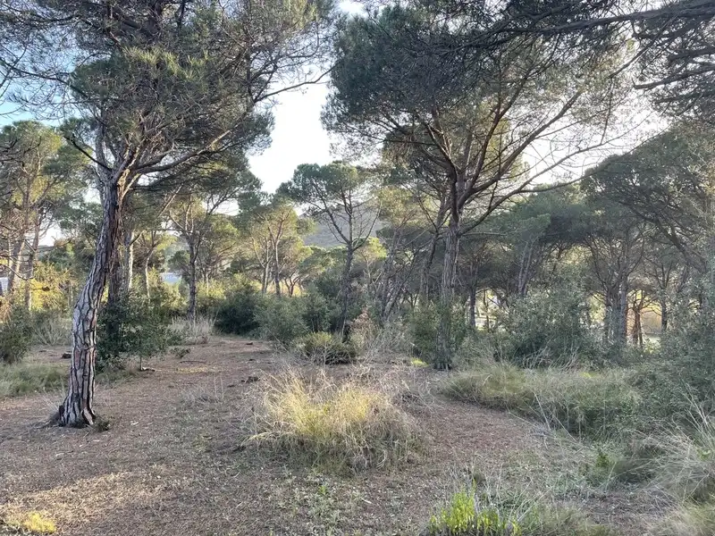 Residential land for sale in INDUSTRIAL CN II, POLIGONO 18, PARCELA 44, imagen 6