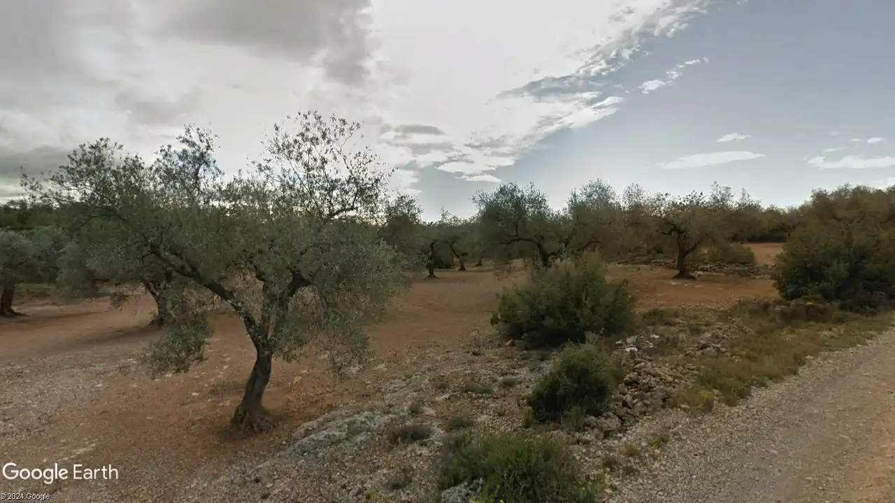 Terreny rústic en venda a San Rafael del Río, imagen 5