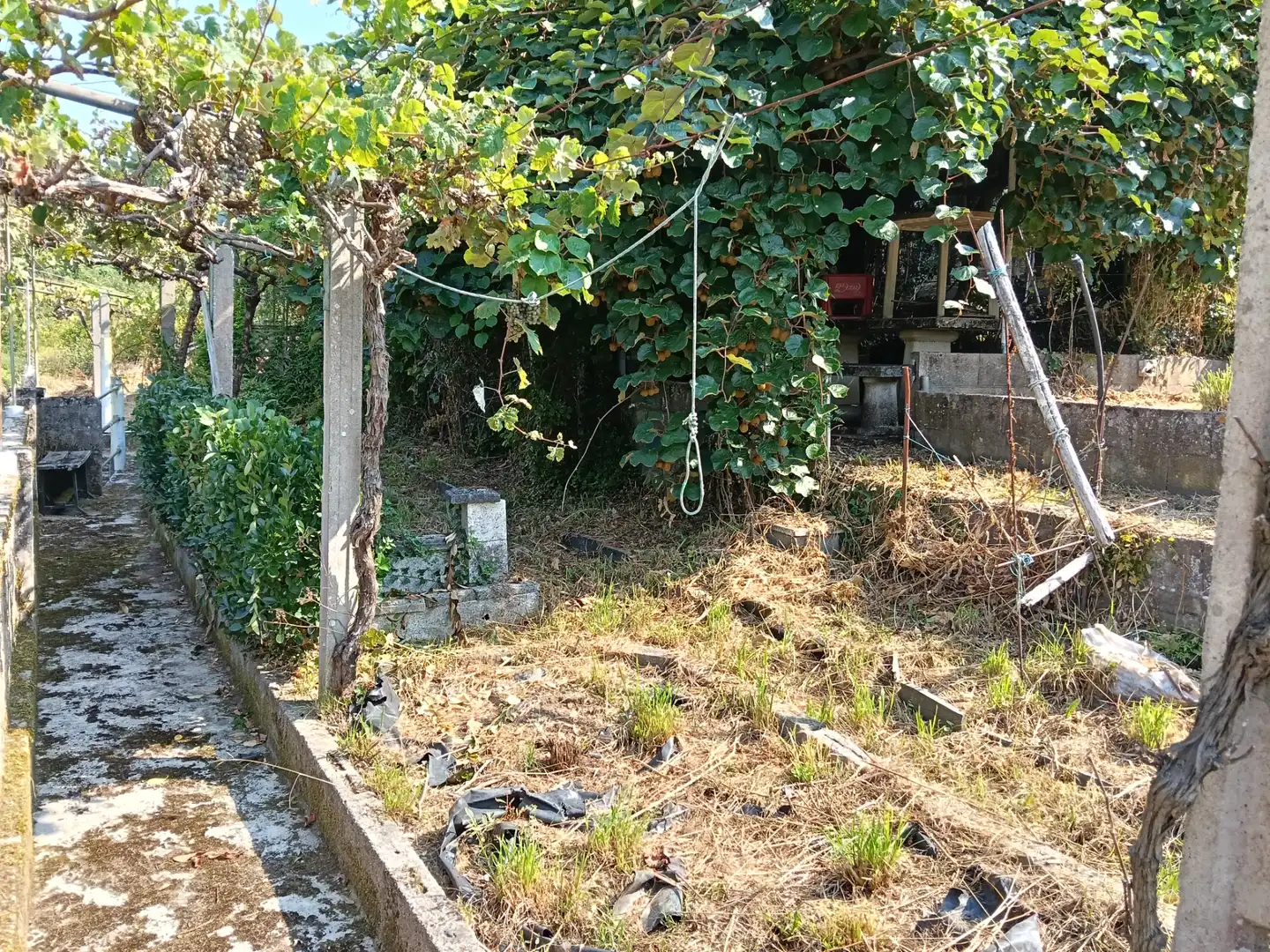 Maison avec jardin à vendre à Rúa Saavedra Meneses 87, imagen 4