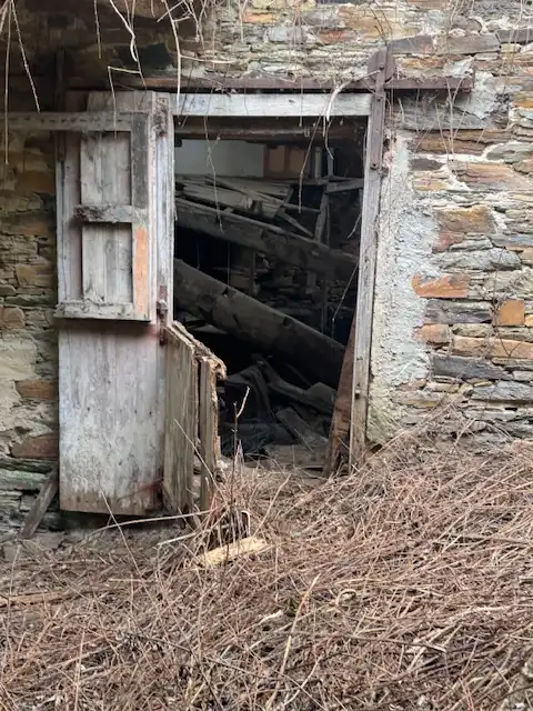 Vista exterior de Finca rústica en venta en Castropol
