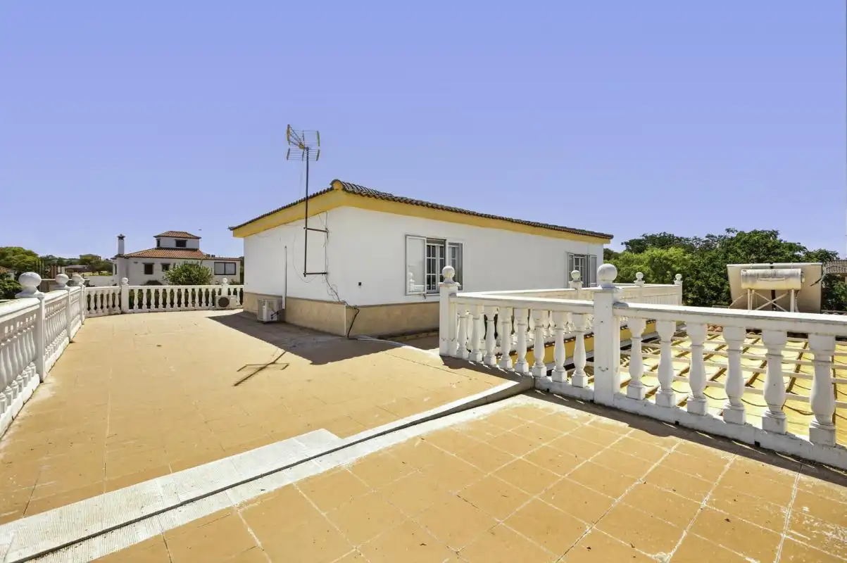 Vista exterior de Casa o xalet en venda en Carmona amb Aire condicionat, Calefacció i Jardí privat