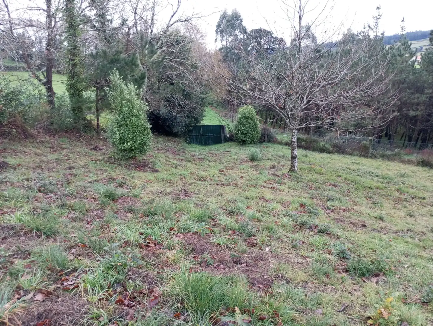 Casa amb jardí en venda a Coristanco, imagen 7