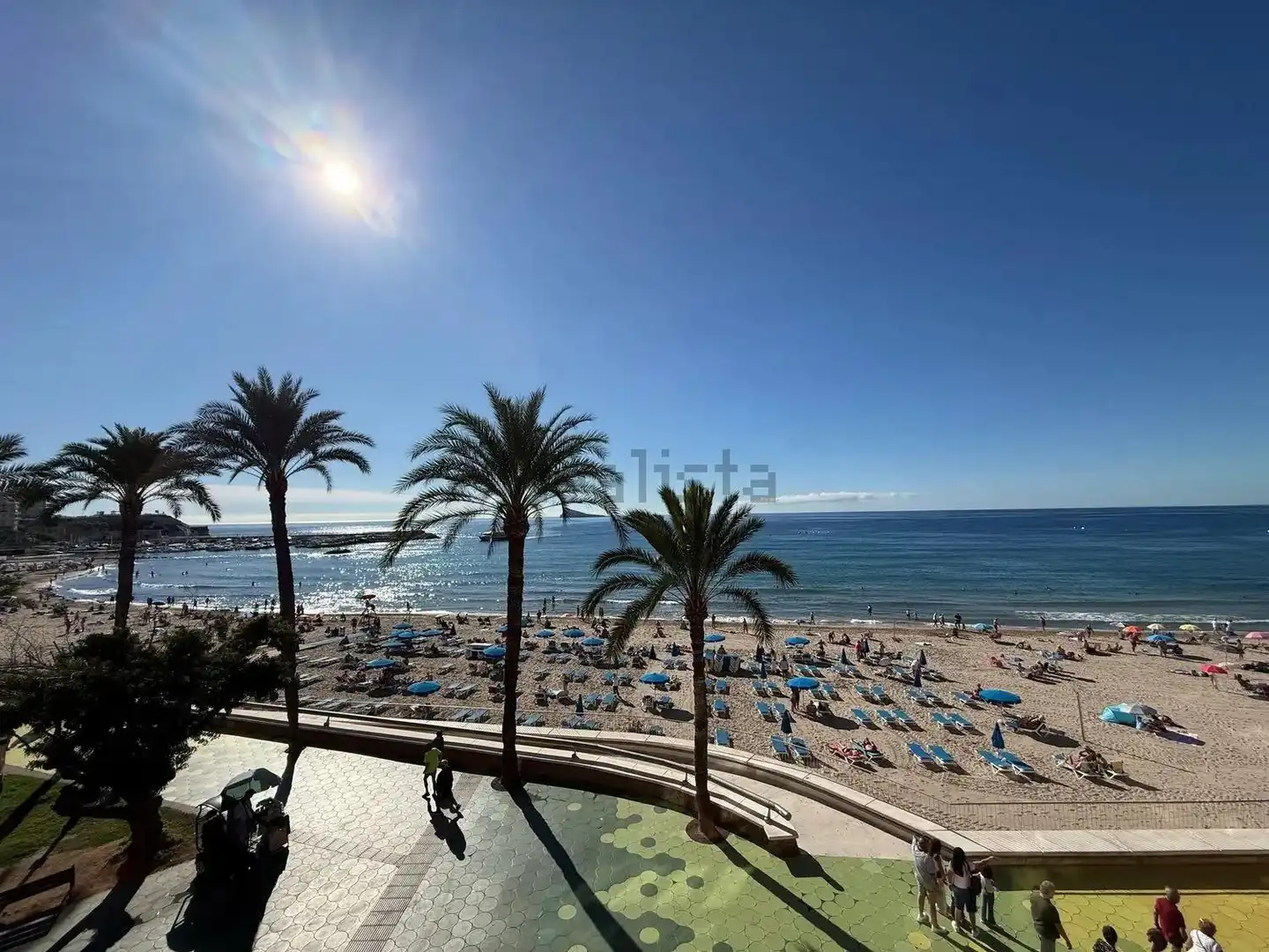 Vista exterior de Apartament en venda en Benidorm amb Moblat
