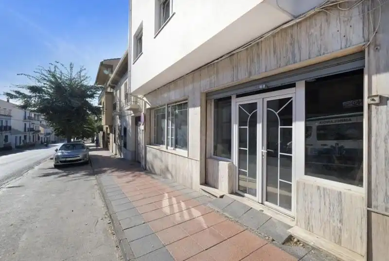 Local commercial à vendre à Padul, imagen 3
