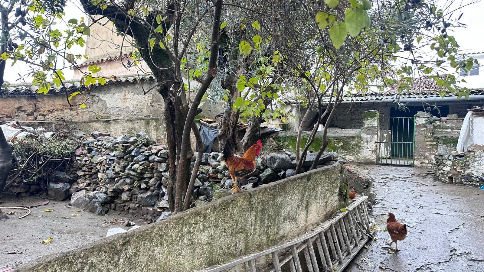 Vista exterior de Casa o xalet en venda en El Real de la Jara