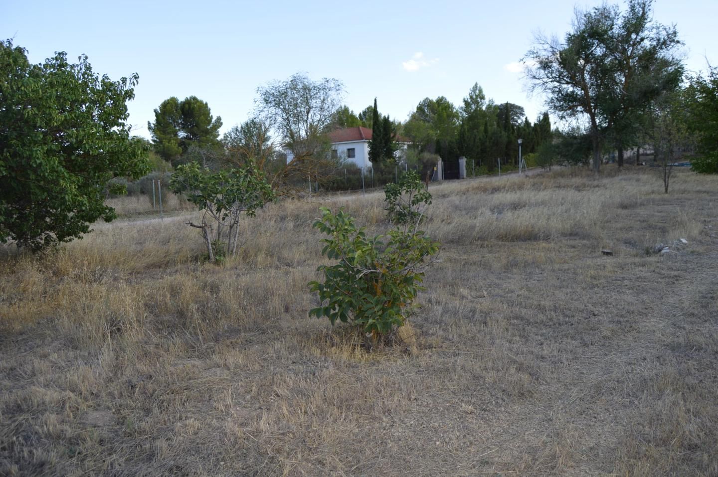 House or chalet for sale in Manzano, Villar de Cañas