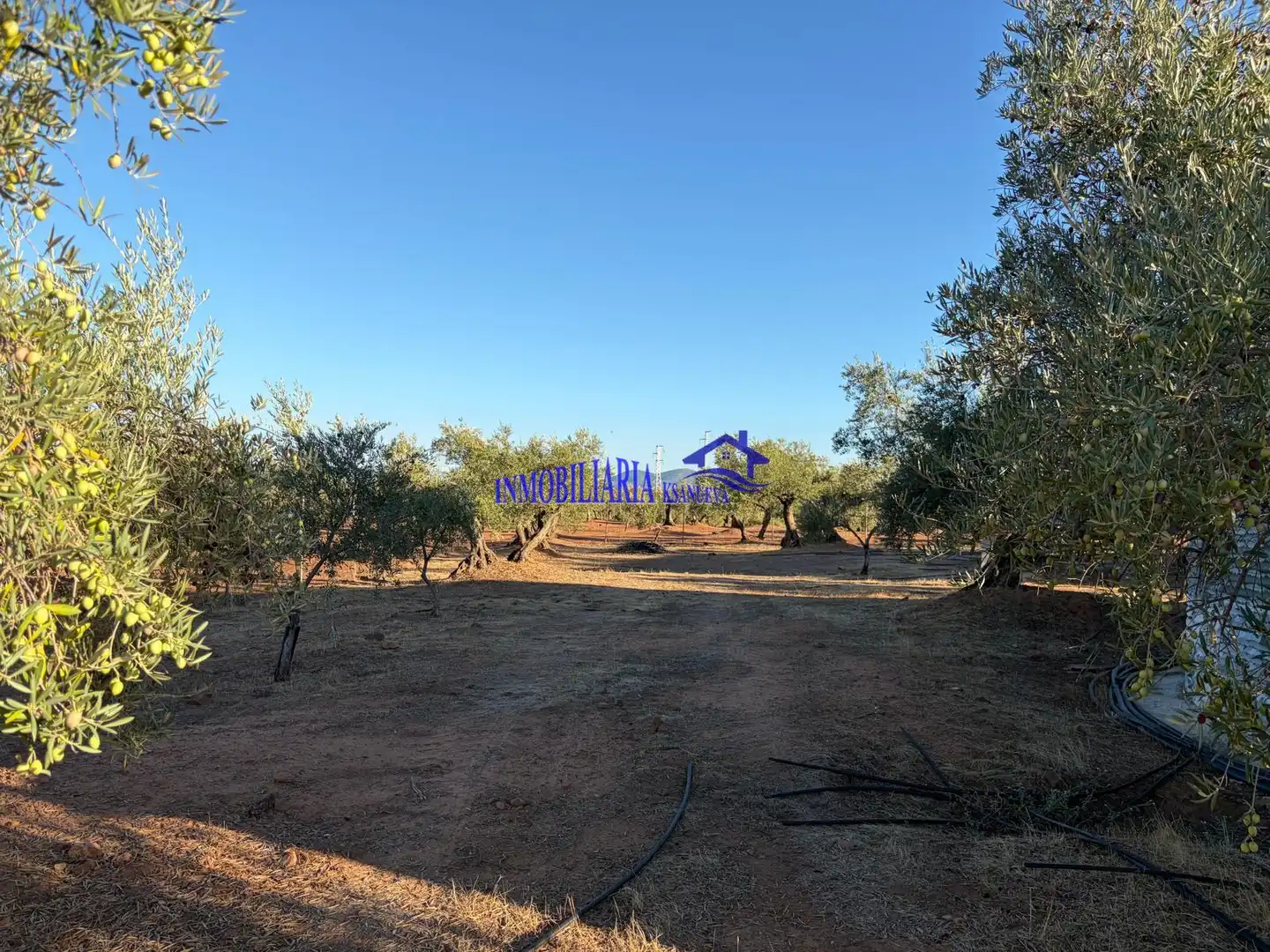 Finca rústica en venta en Villa del Río, Córdoba
