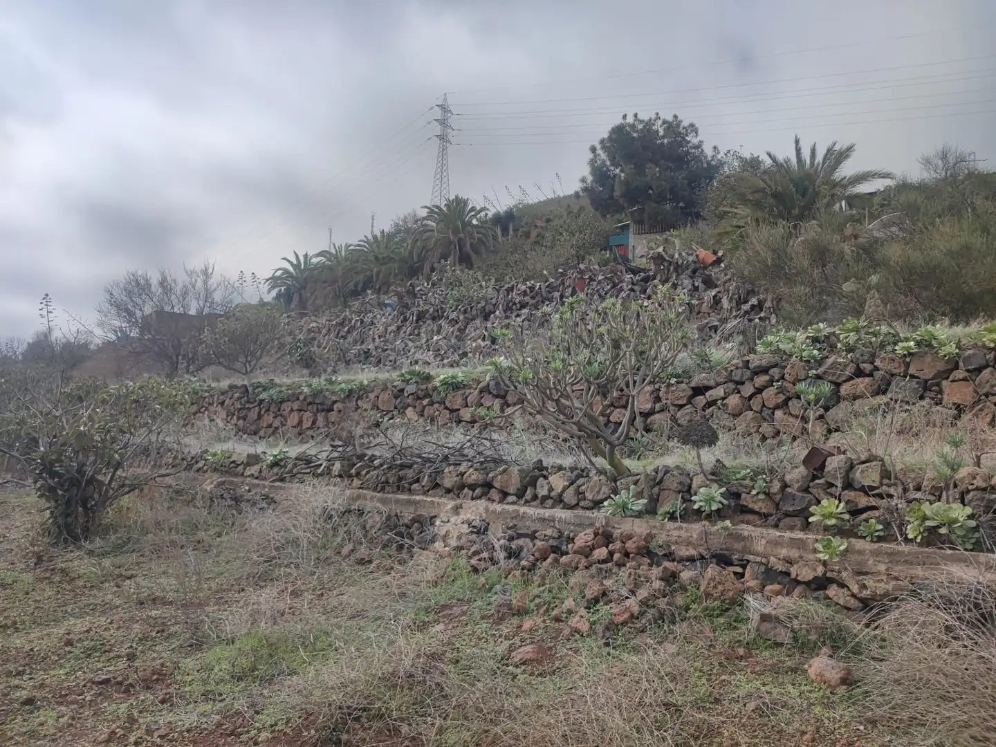 Terreny en venda en San Cristóbal de la Laguna