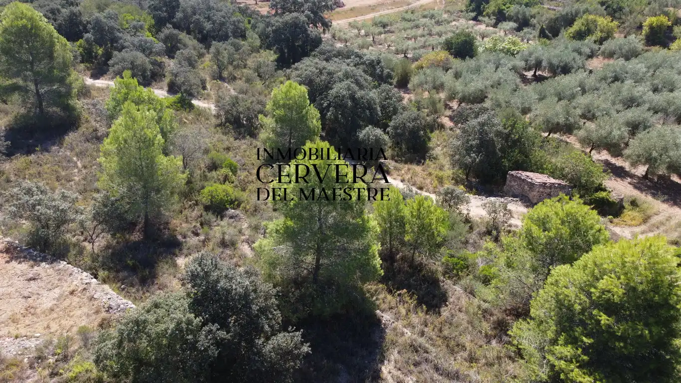 Terreno rustico in vendita a Cervera del Maestre, imagen 25