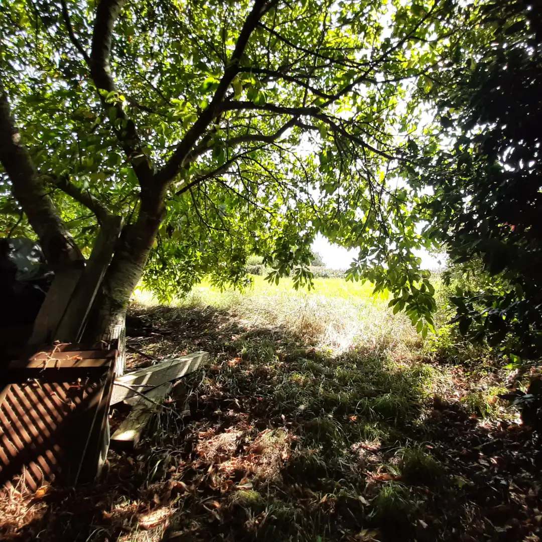 Casa o xalet en venda en Mañón amb Jardí privat, Terrassa i Moblat